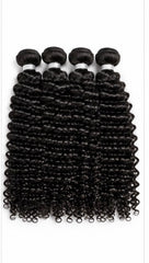 Burmese Curly
